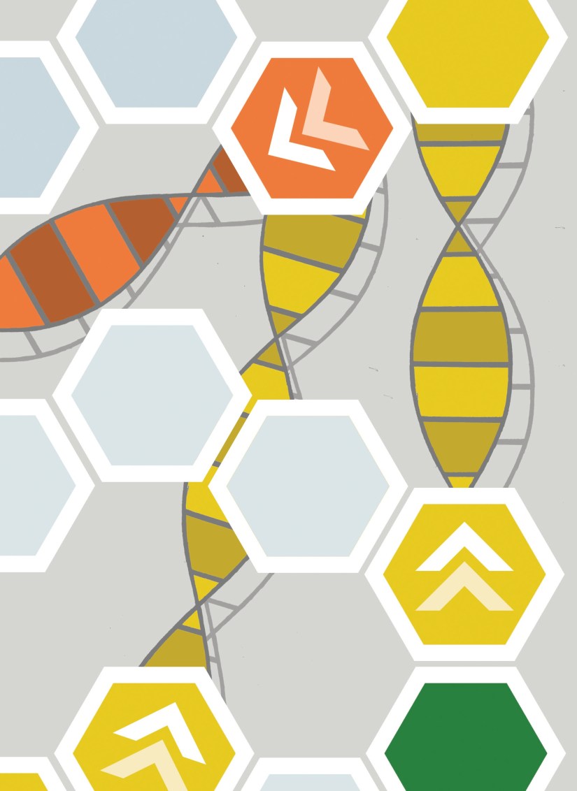 Board Game6xblankflat_Crop3_June18