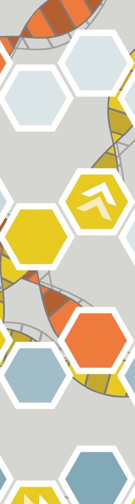 Board Game6xblankflat_Crop5_Jun18